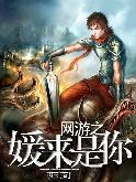 网游之媛来是你TXT全集封面