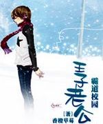 霸道校园王子老公TXT全集封面