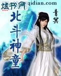 北斗神童TXT全集封面
