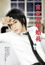 富豪奢华婚礼TXT全集封面