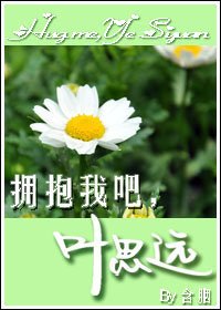 ӵ���Ұ�,Ҷ˼ԶTXTȫ������