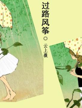 过路风筝TXT全集封面
