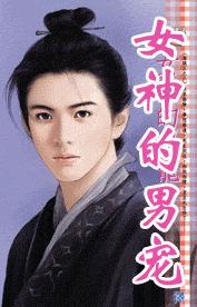 女神的男宠TXT全集封面