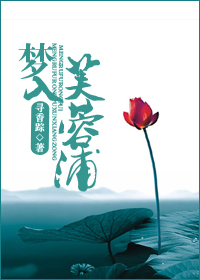 梦入芙蓉浦TXT全集封面