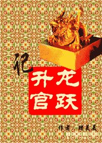 龙跃升官记TXT全集封面