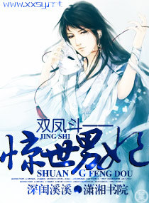 双凤斗一一惊世男妃TXT全集封面