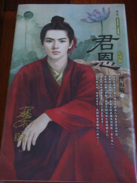君恩TXT全集封面