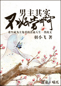 男主其实不好当啊TXT全集封面