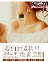 我们的爱情里没有后路TXT全集封面