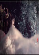 凤于九天 第10部 飞流激湍TXT全集封面