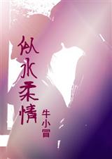 牛小冒似水柔情TXT全集封面