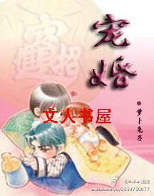宠婚TXT全集封面