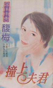 撞上夫君TXT全集封面