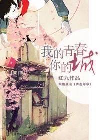 我的青春你的城TXT全集封面