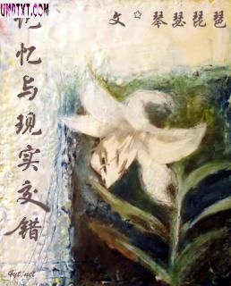 记忆与现实交错TXT全集封面