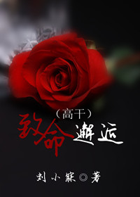 ��������(�߸�)TXTȫ������