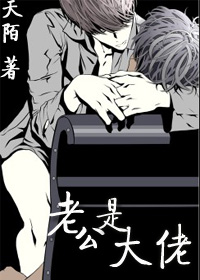 老公是大佬TXT全集封面