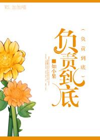 负责到底TXT全集封面