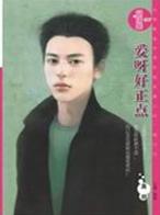 爱呀好正点TXT全集封面