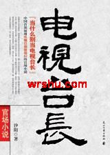 电视台长TXT全集封面