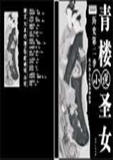 青楼圣女TXT全集封面