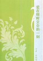 爱在眼眸交会的一刻TXT全集封面