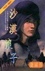 沙漠浪子TXT全集封面