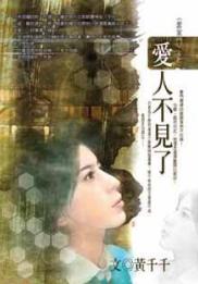 爱人不见了TXT全集封面