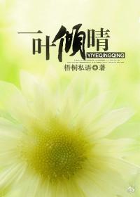 一叶倾晴TXT全集封面