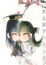 天上掉下个毛小弟(全+番外)TXT全集封面