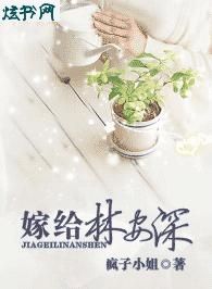 �޸��ְ���TXTȫ������