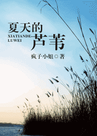 夏天的芦苇TXT全集封面
