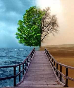 一生一世TXT全集封面