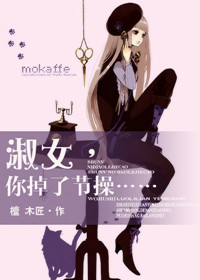 淑女,你掉了节操TXT全集封面