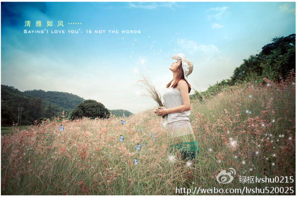 初爱·双飞TXT全集封面