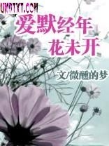 爱默经年,花未开TXT全集封面