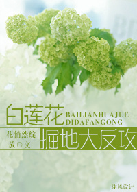 白莲花掘地大反攻TXT全集封面