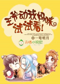 王爷动我妈咪试试看!TXT全集封面