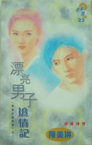 漂亮男子追情记TXT全集封面