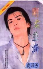 刚柔并济TXT全集封面