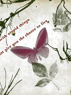 一生一世,美人骨TXT全集封面