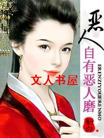 恶人自有恶人磨TXT全集封面