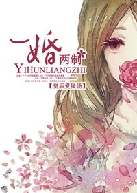 一婚两制(高干)TXT全集封面