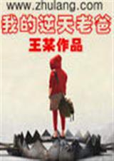 我的逆天老爸TXT全集封面