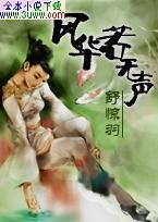 风华若无声TXT全集封面