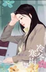 冷冬寒梅TXT全集封面