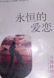 永恒的爱恋TXT全集封面