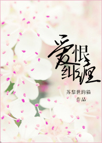 爱恨纠缠TXT全集封面