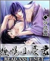 撩情小受君TXT全集封面