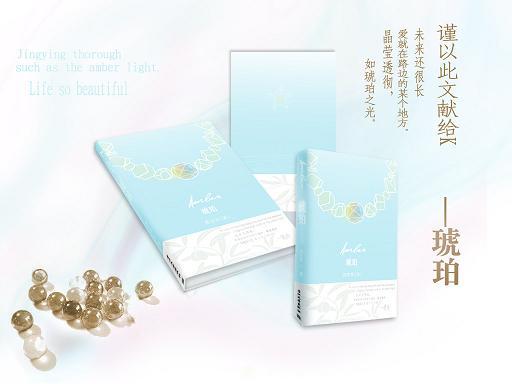 送给K的礼物--琥珀TXT全集封面